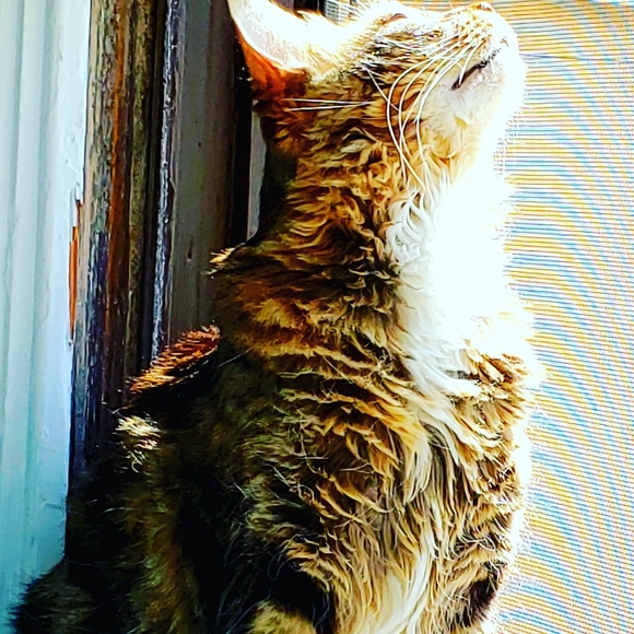 Meet jewelry artist S. Ray-Von - Picture 5 of 16